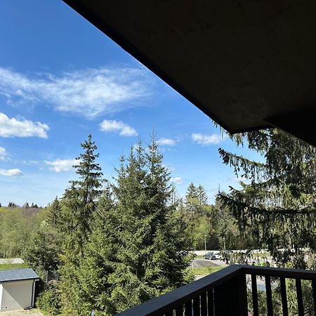 Apartman Pod Smrekom Demaenovska Dolina Dış mekan fotoğraf
