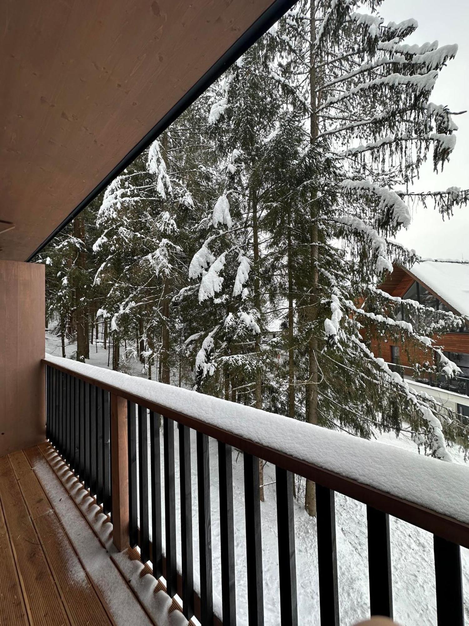 Apartman Pod Smrekom Demaenovska Dolina Dış mekan fotoğraf